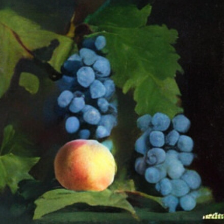 Fruit still life